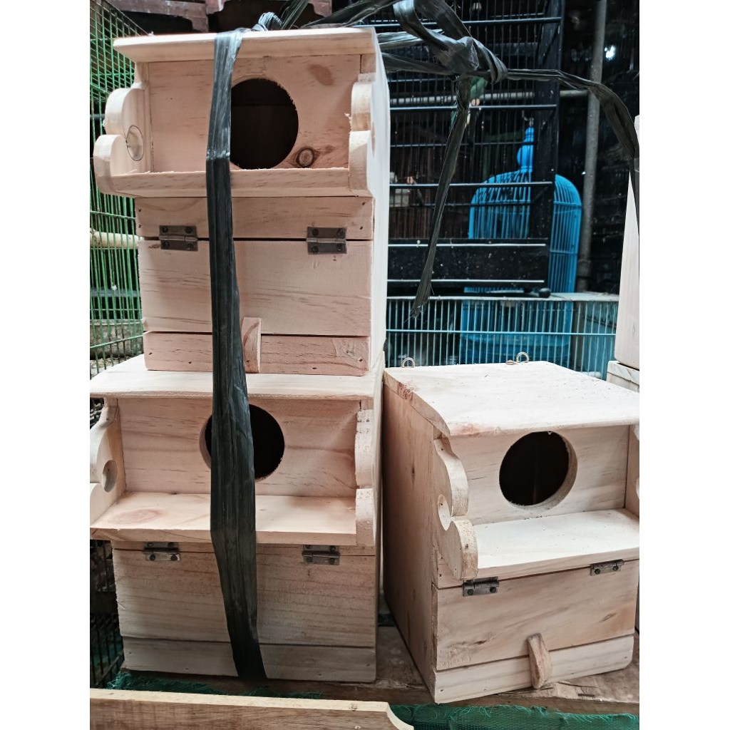 GLODOK BURUNG LOVEBIRD