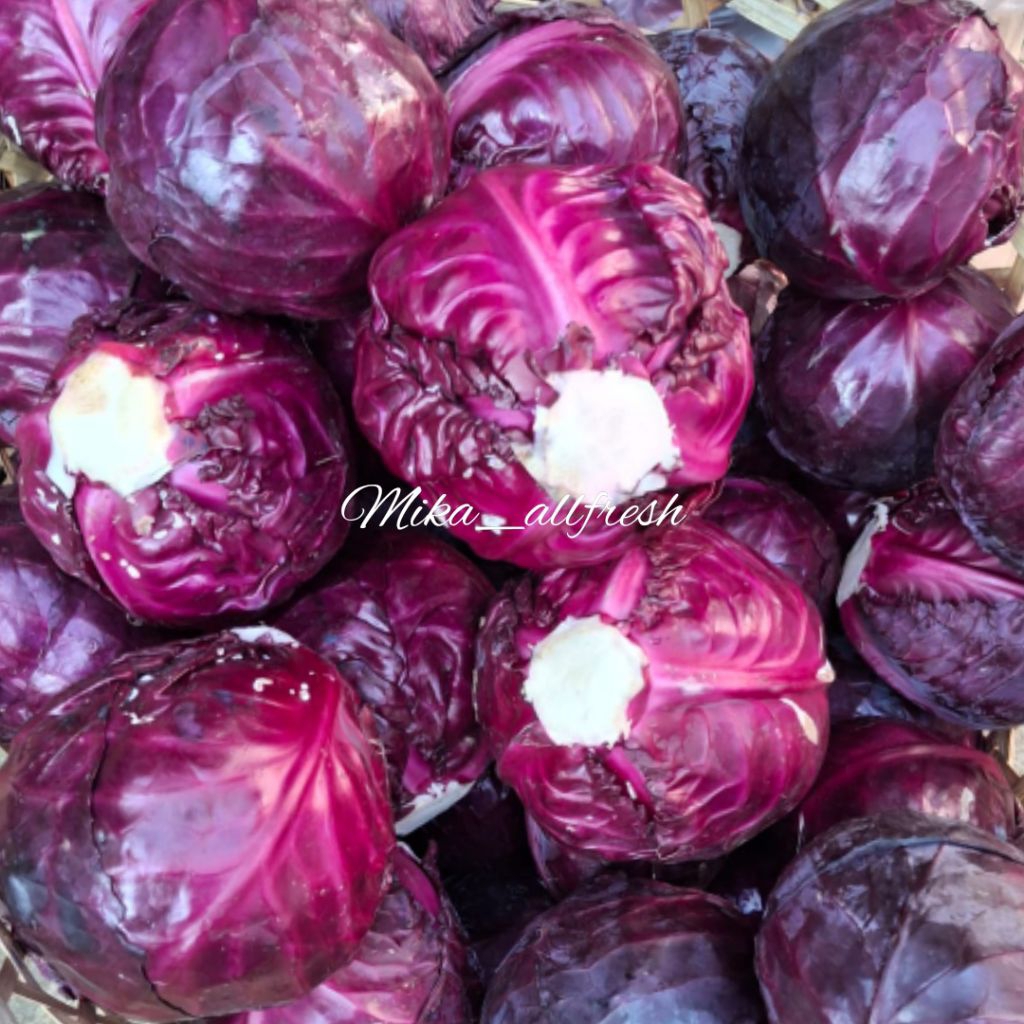 Kol Merah Segar / Kol Ungu Fresh –1kg  Sayur Organik Pilihan