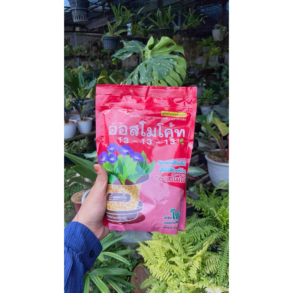 Pupuk Dekastar Thailand MERAH 150 gram | 250 gram | 500 gram | 1 kg