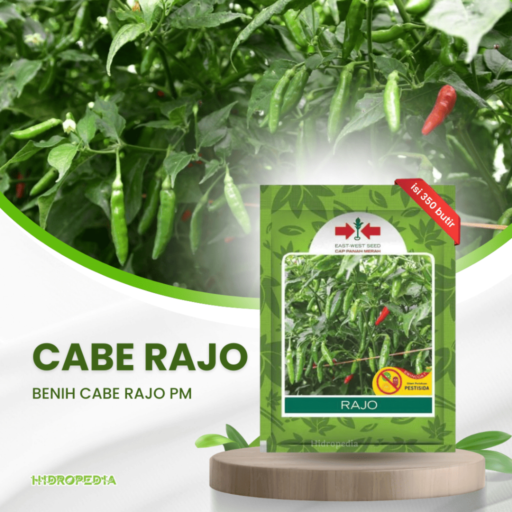 Benih Cabai Rawit Rajo – Cap Panah Merah |