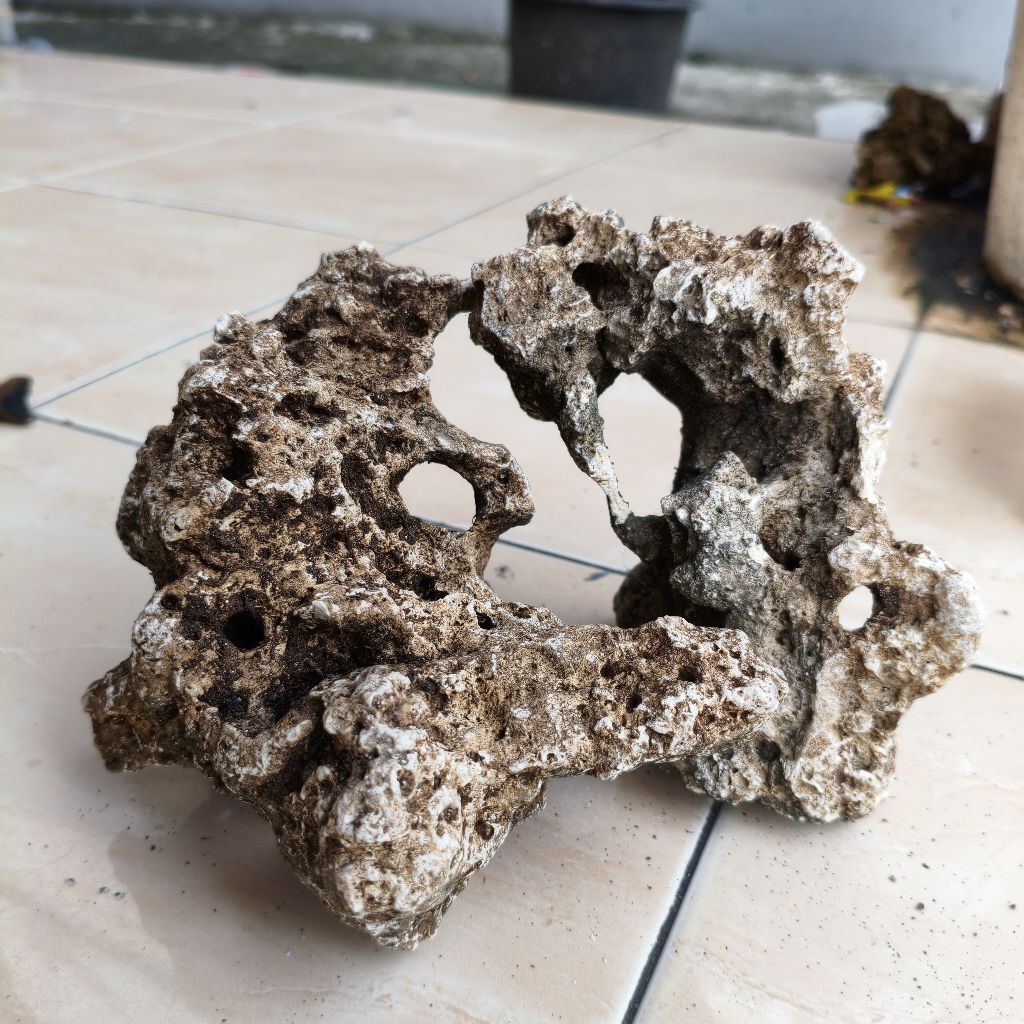 Batu karang gunung bolong untuk bonsai, mame on the rock, aquascape M