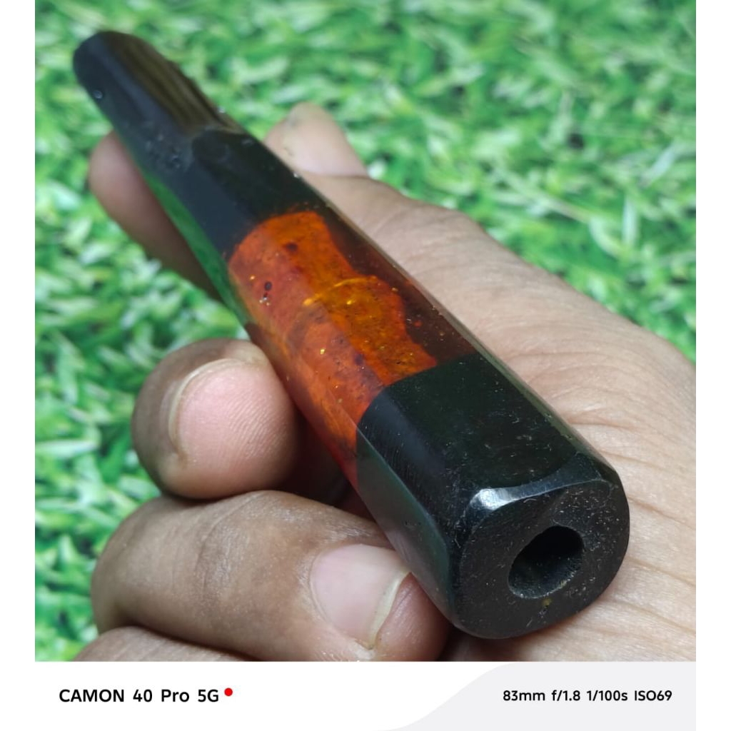 once pipa ginseng jumbo panjang 12cm tampilan minimalis terasa ginsengnya