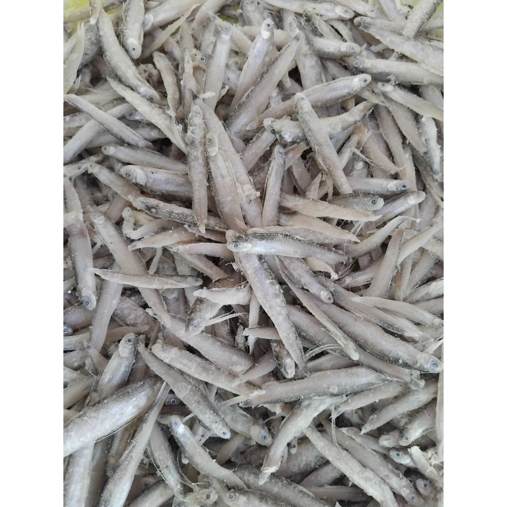 

IKAN TERI JENGGOT 1 KILO.