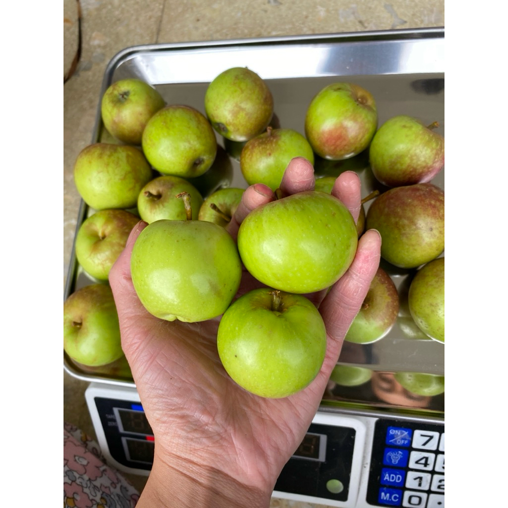 Apel Manalagi Ukuran Kecil Fresh 1kg isi 22-26 | Apel Malang Segar