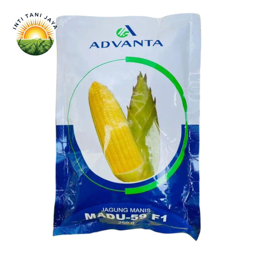 Bibit Jagung Manis Madu 59 F1 250 Gram Kemasan Pabrik Benih Jagung Manis Madu Advanta
