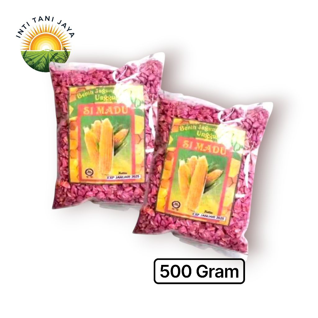 Bibit Jagung Manis Simadu 500 Gram Benih Jagung Manis Simadu