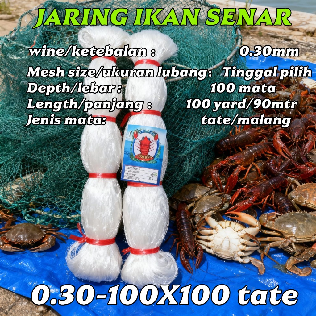 Jaring Ikan Senar Ukuran 0.30x100x100 Tate/Melintang