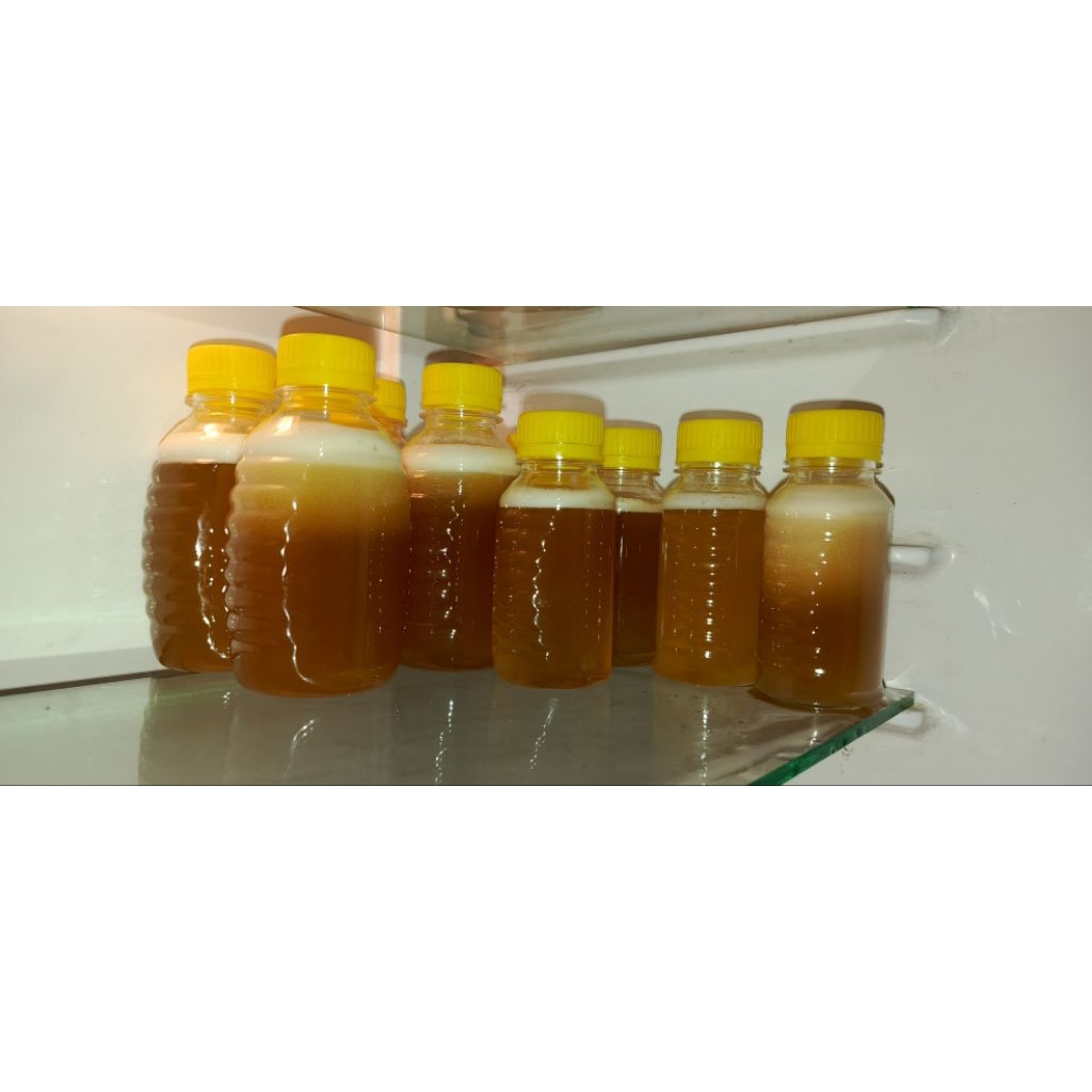 Madu asli, madu tawon Gung