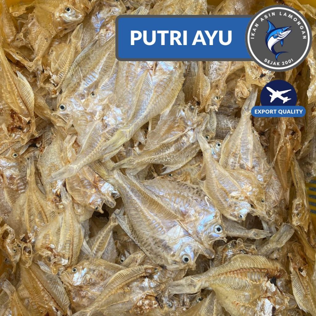 Ikan Asin Lamongan Putri Ayu tawar tipis kering kualitas export