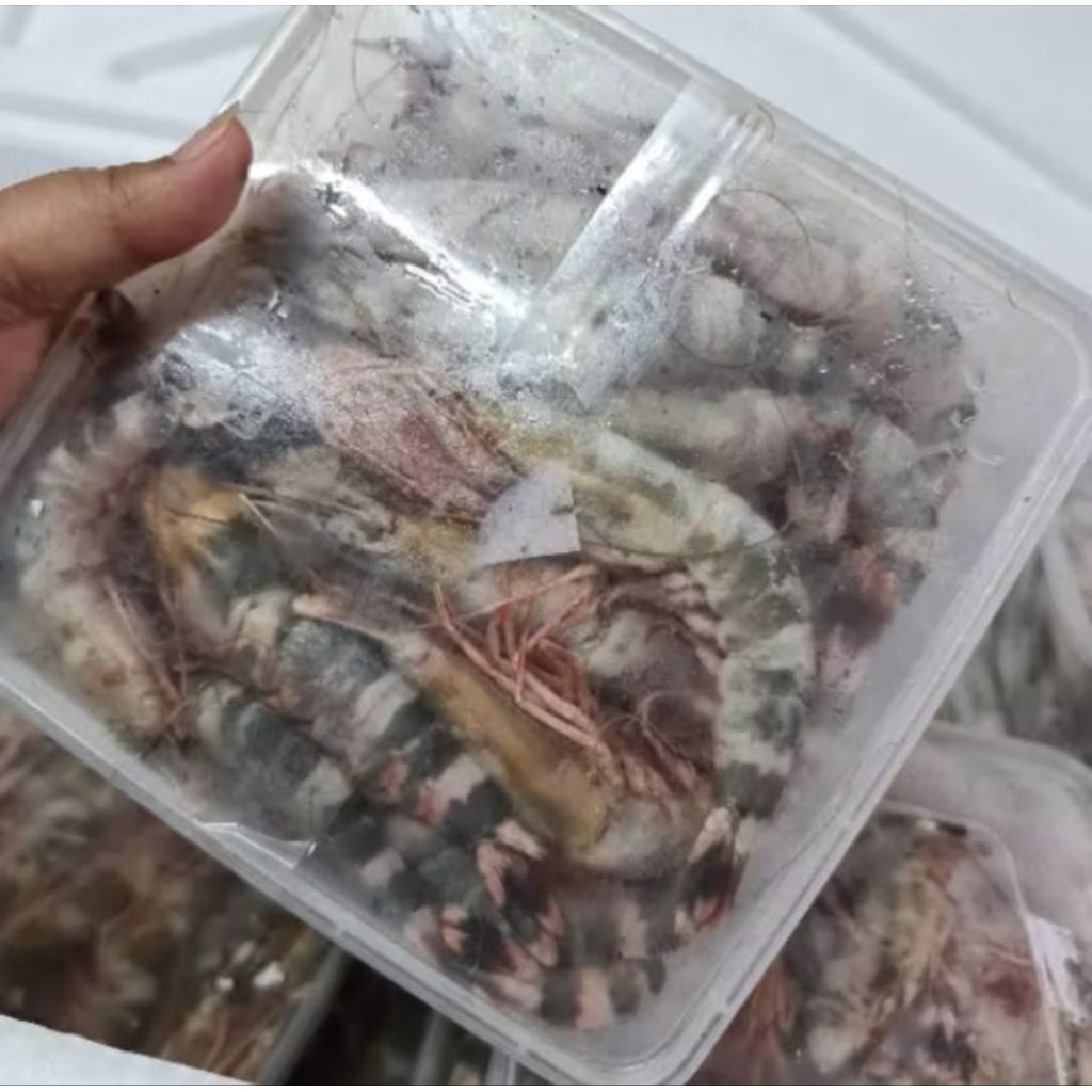 Udang Windu Tiger Frozen