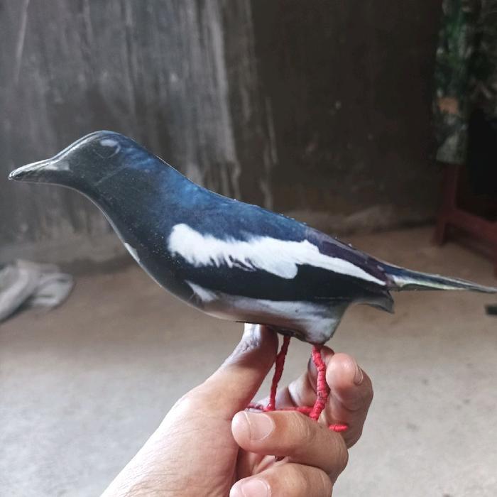 JONTROT BONEKA REPLIKA BURUNG PATUNG BURUNG OCEHAN JONTROT BURUNG KICAU MIRIP ASLI TAHAN PENYOK TAHA