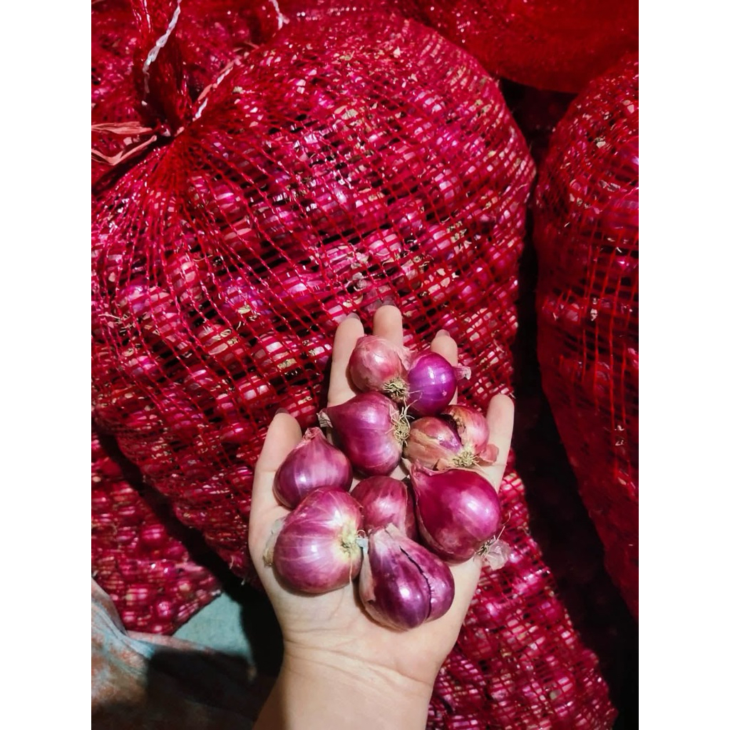 

Bawang Merah / Brambang