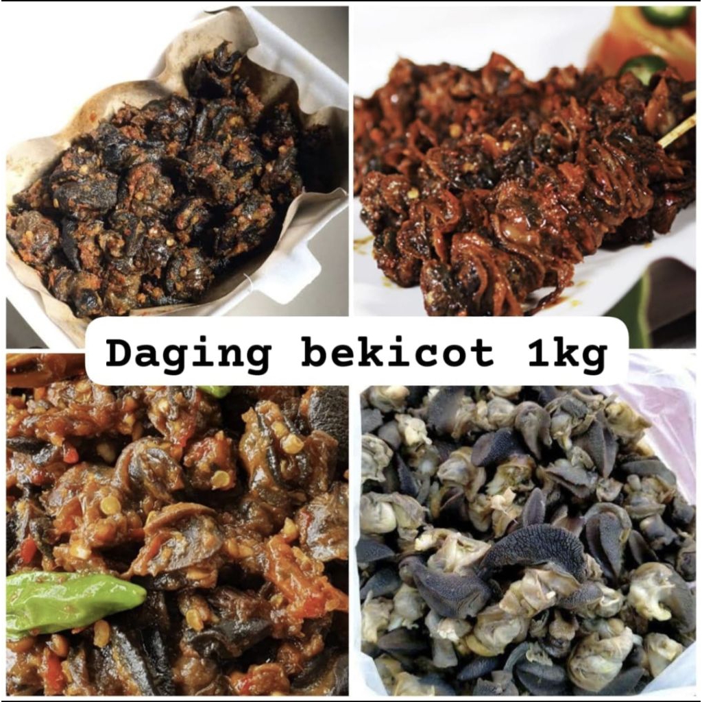 Bekicot mentah