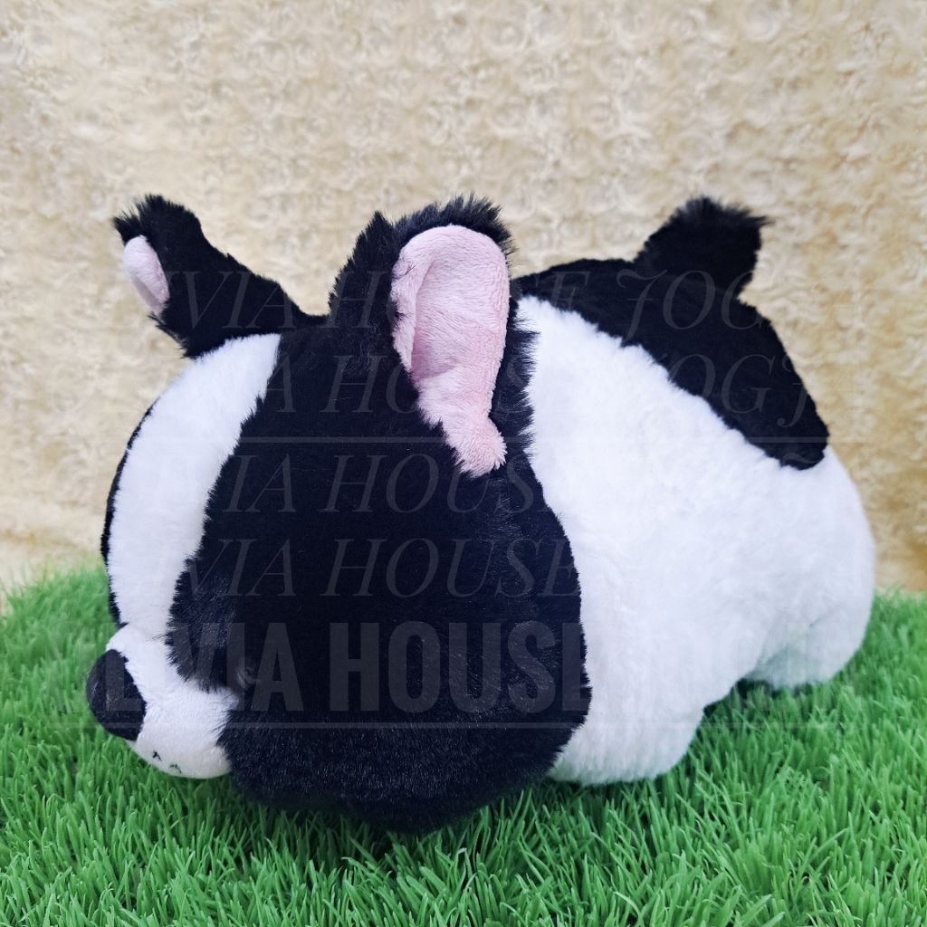 Boneka Lying Anjing Bulldog Hitam Putih Boneka Gembul Anjing Hitam Putih Boneka Tiduran Fren French 