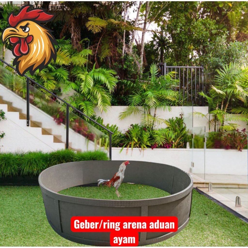 Geber ayam aduan murah berkualitas bahan spon eva super fremium tebal