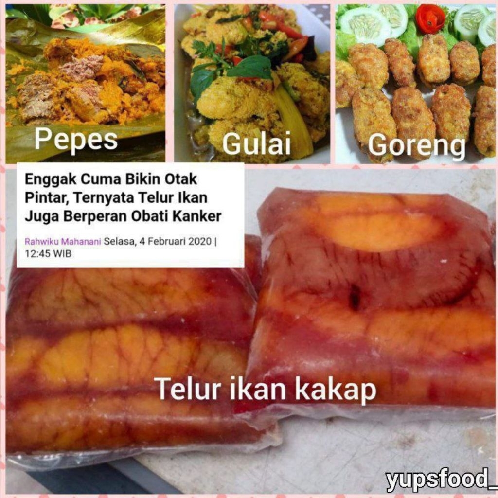 

TELUR KAKAP 500GR
