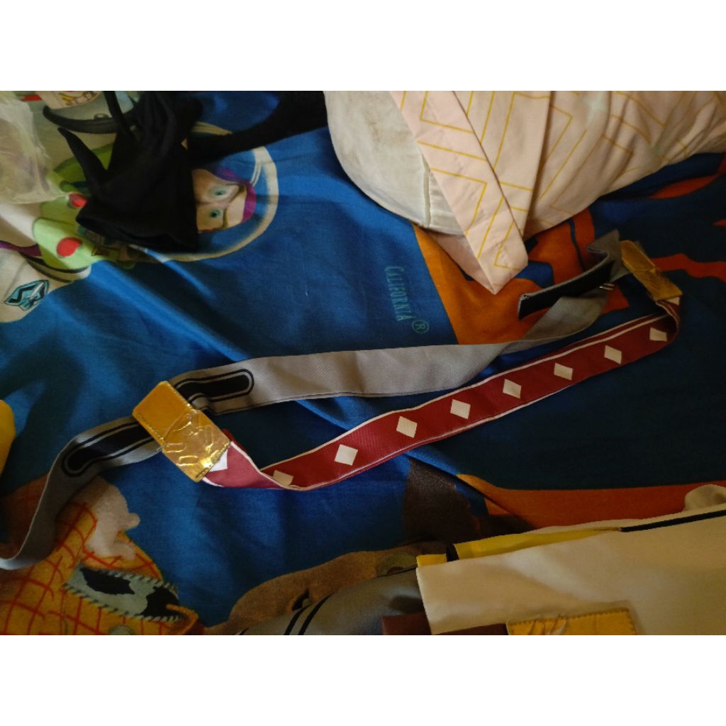 WTS COSTUME STELLE HSR