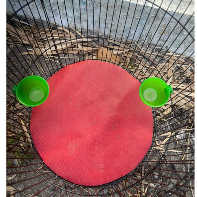 KARPET LOVE BIRD KANDANG KAPSUL