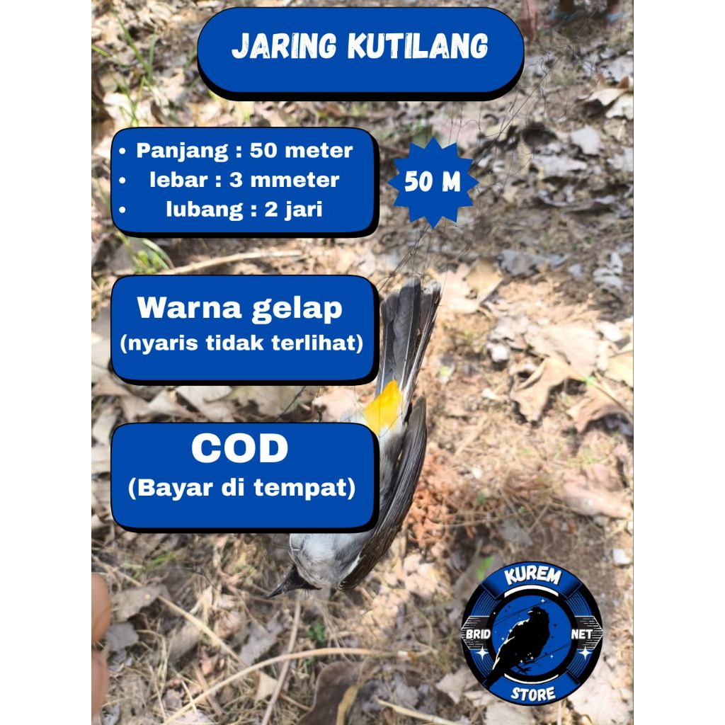 jaring burung kutilang perkutut dll ukuran 50 meter panjang 3 meter