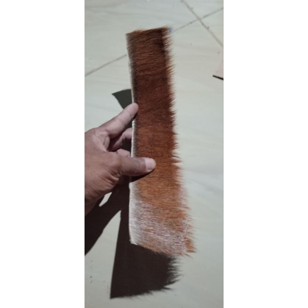 kulit rusa asli 100% kulit kijang/kidang menjanga.