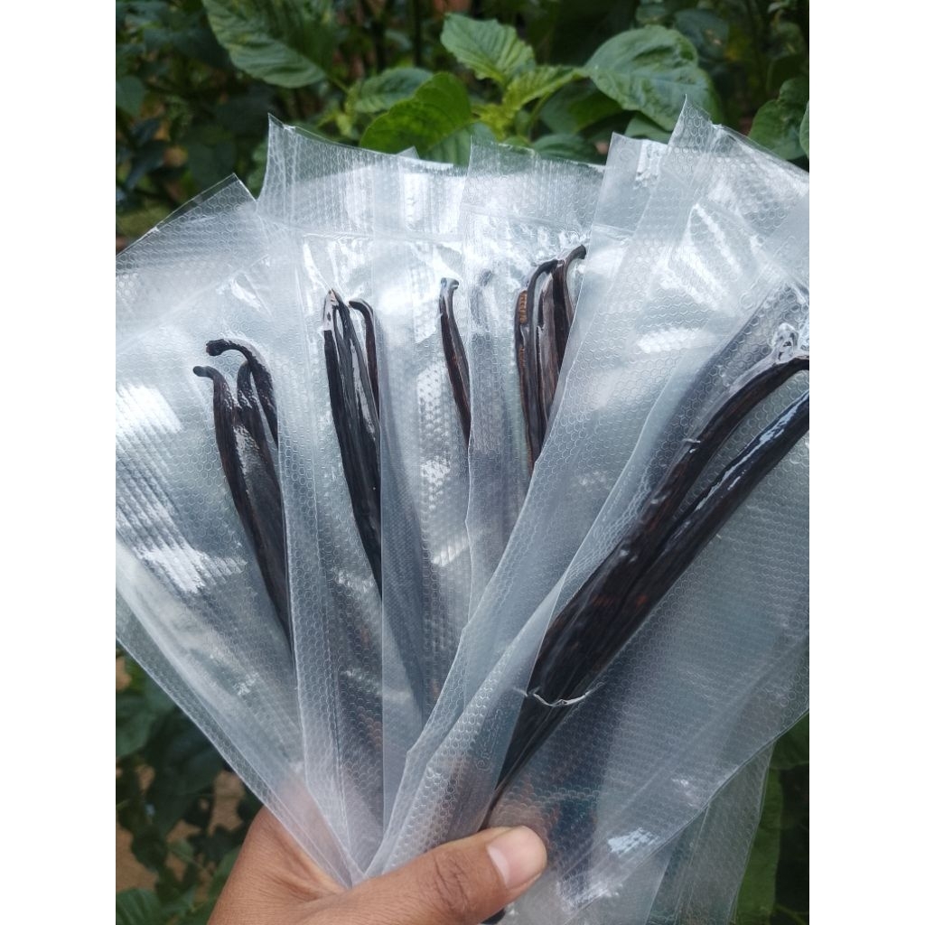 

Vanilla Bean 10 gram