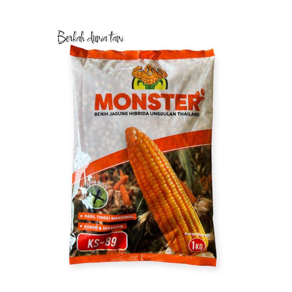 Benih Jagung Hibrida Ks-89 Monster Kemasan 1 kg