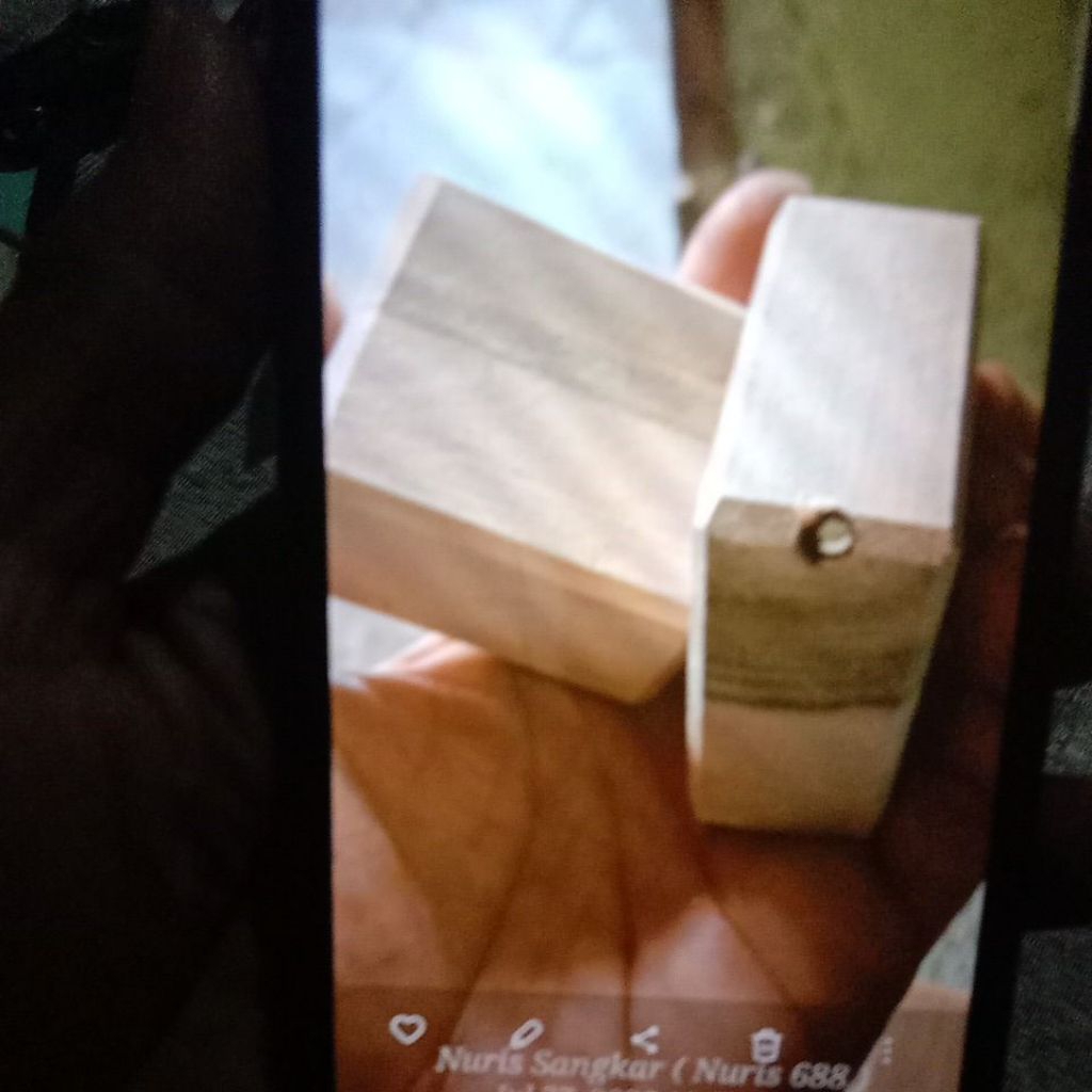 Pion Kupat, Pion Sangkar Burung, Pion RepLika Radja