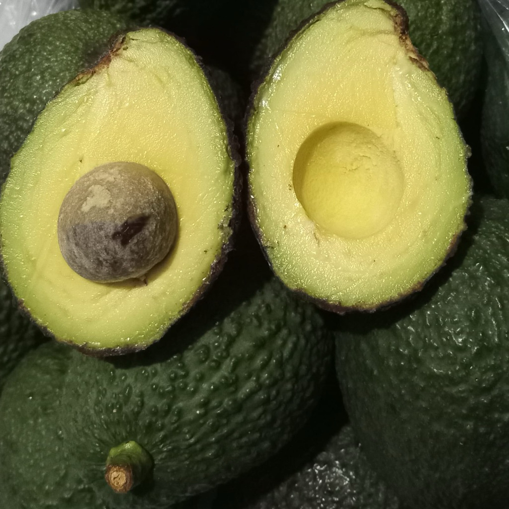 Alpukat Hass