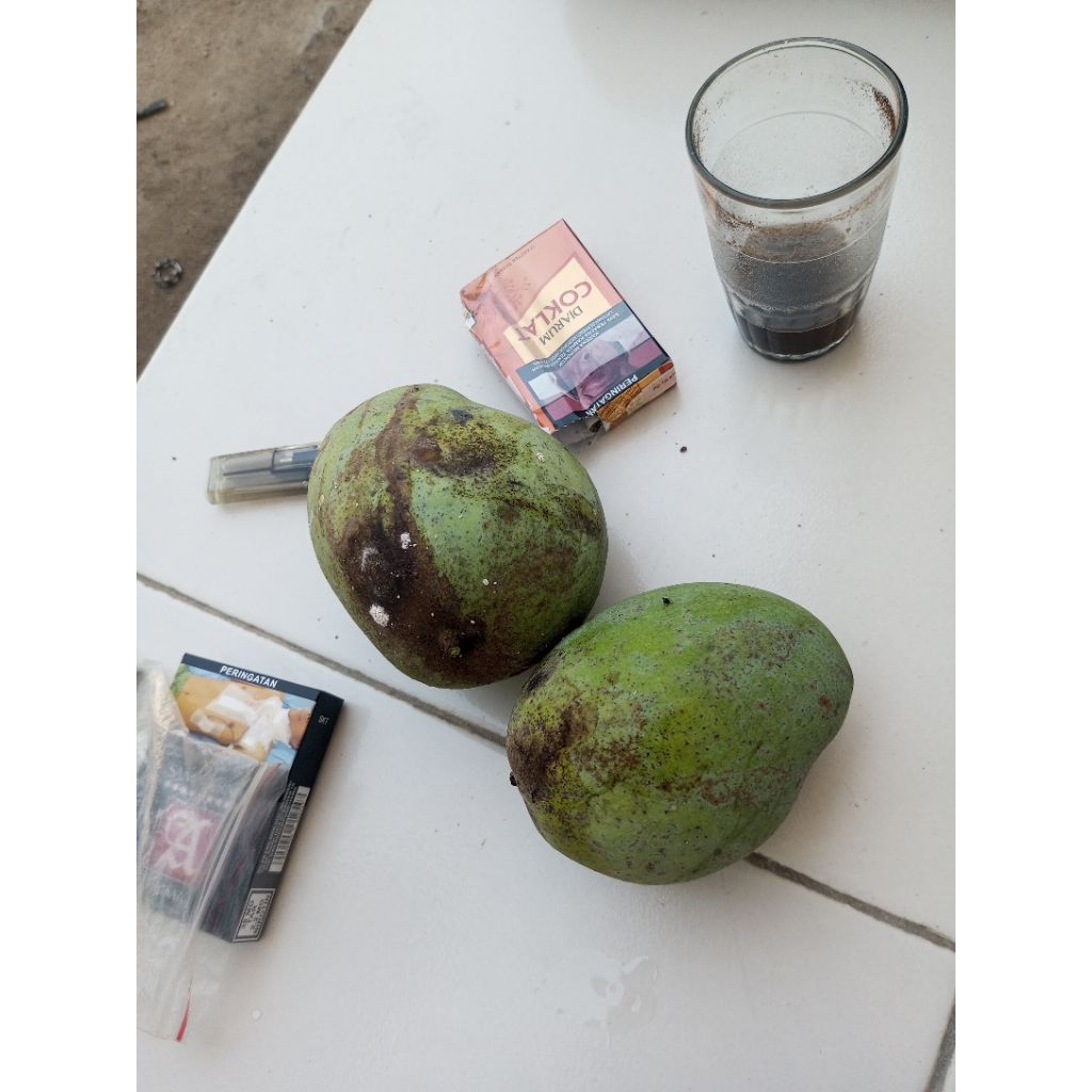 buah ngora jarcok