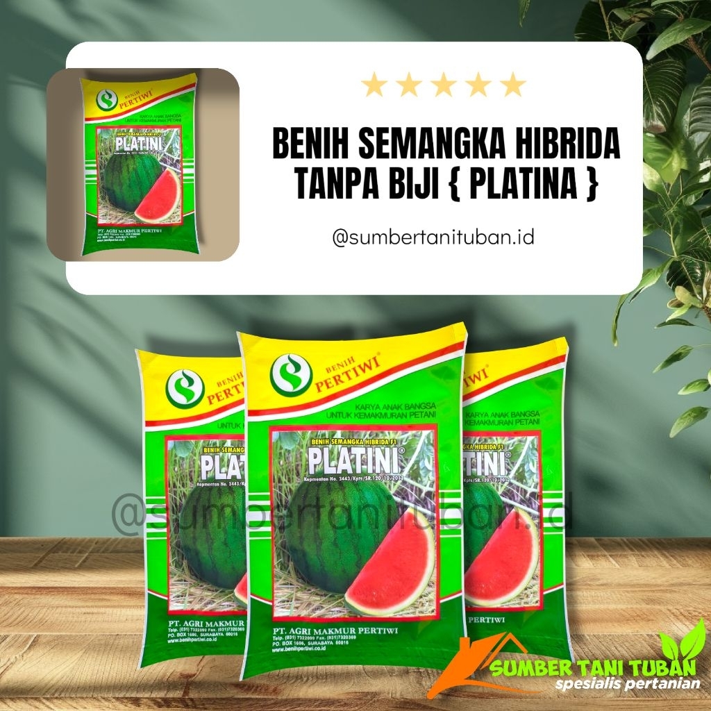 BENIH SEMANGKA TANPA BIJI PLATINI (KEMASAN 5.GRAM)