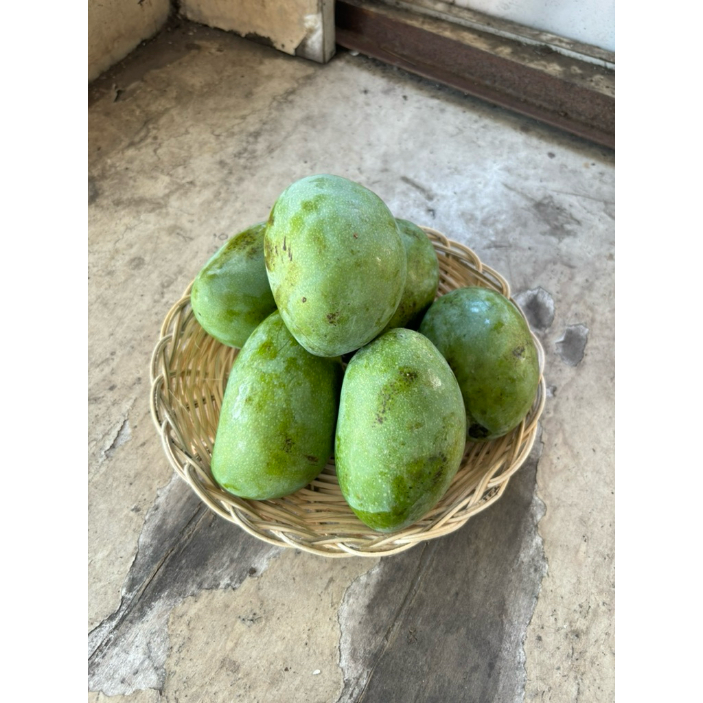 

buahfreshku - mangga manalagi 1 kg