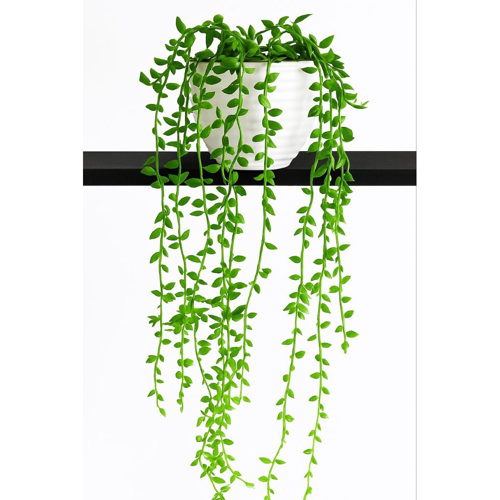 Daun juntai set pot hiasan dinding aesthetic/Daun juntai artificial/Daun juntai aesthetic/Bunga arti