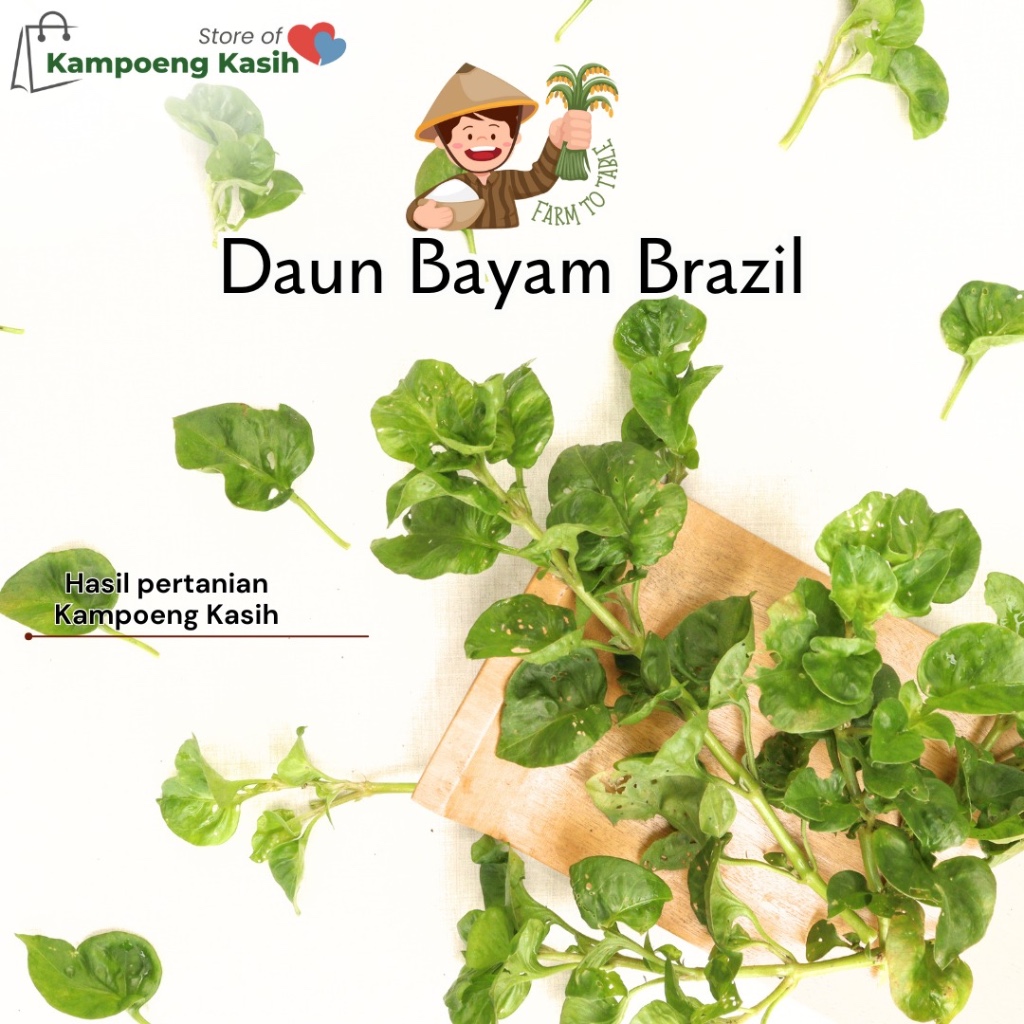 Bayam Brazil Segar Bayam Keriting 250gram