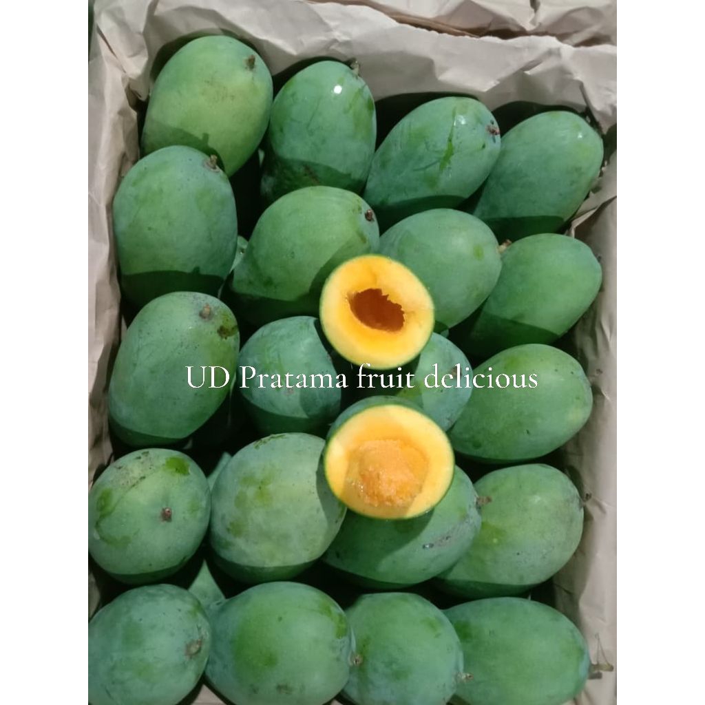 PROMO mangga alpukat 1kg mangga harum manis mangga gadung mangga