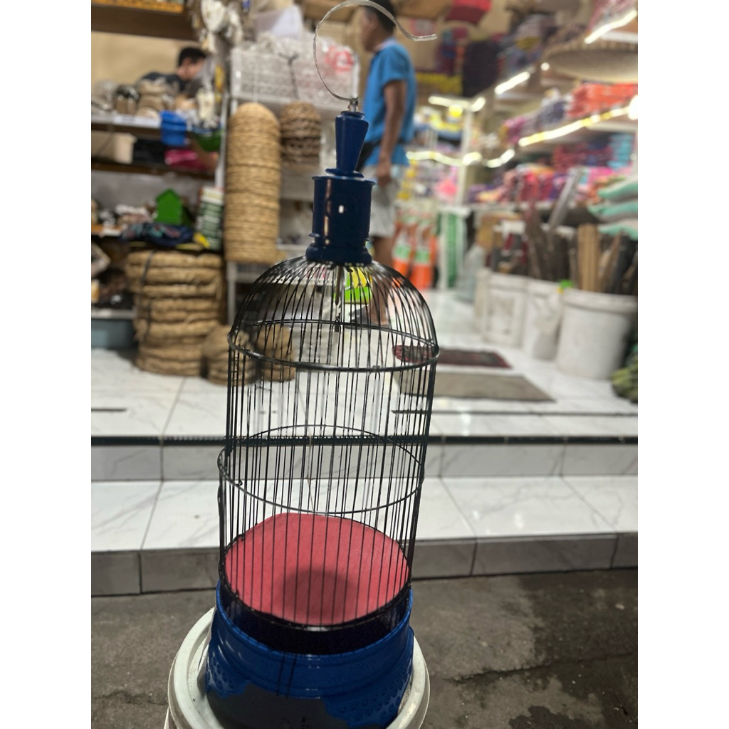 Kandang helopet pleci murah