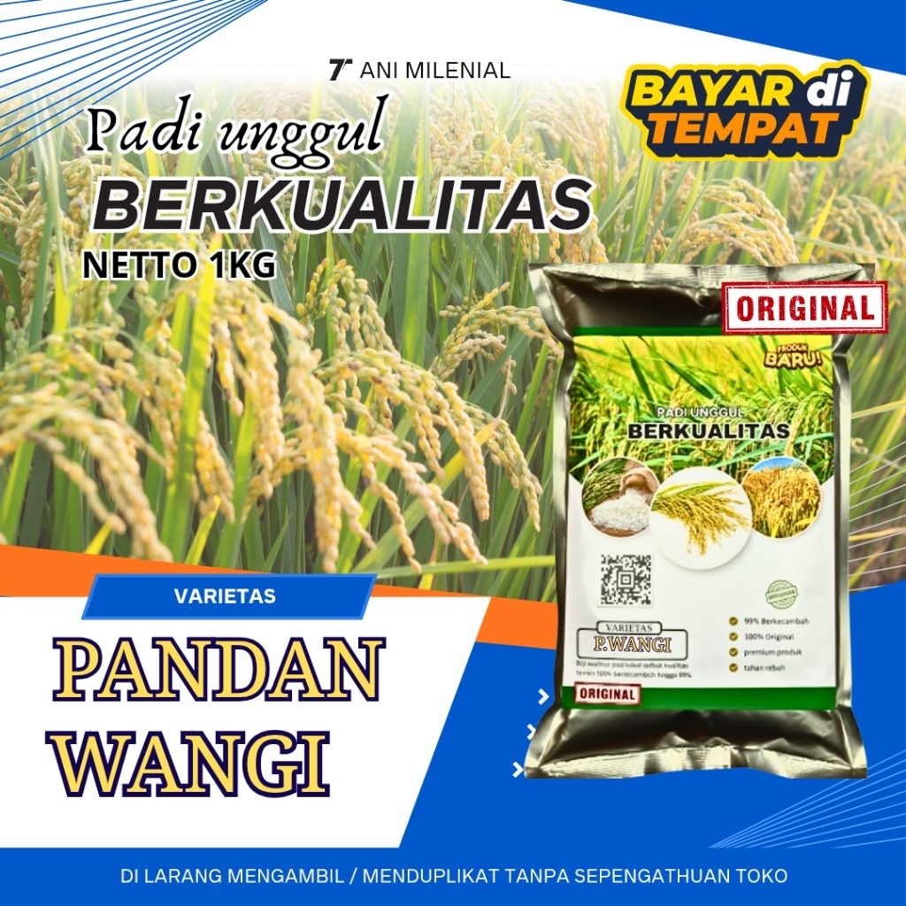 Benih padi pandan wangi cianjur original kemasan 5kg