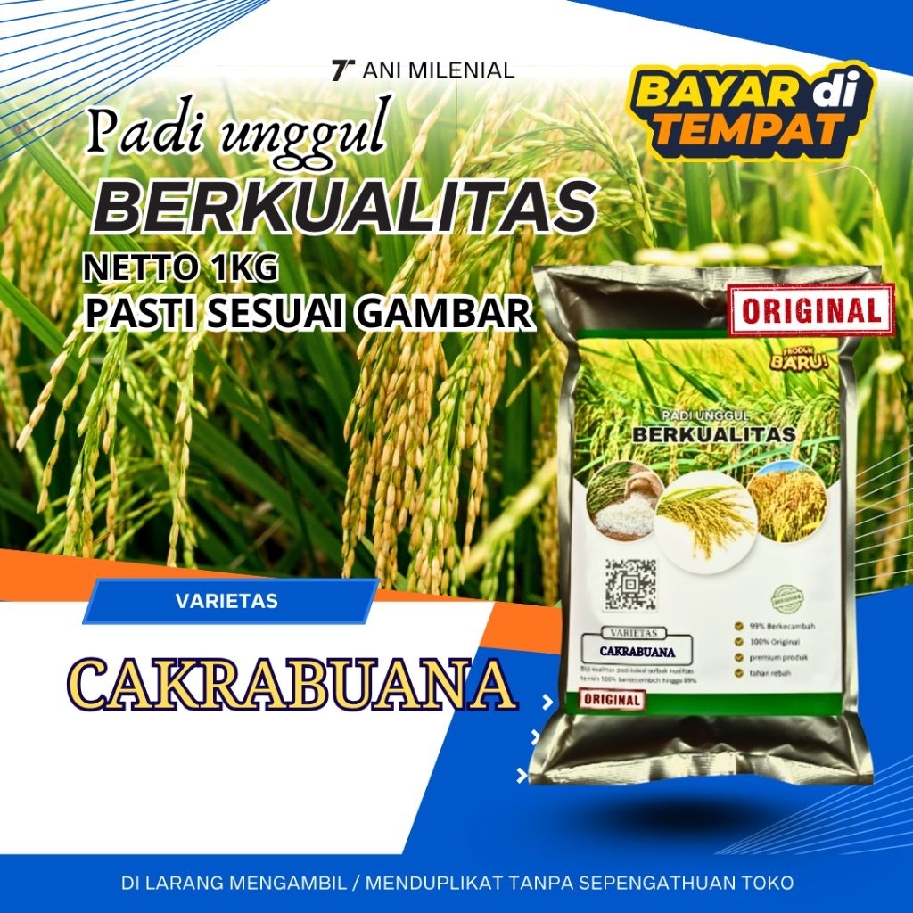 Benih padi unggul Cakrabuana 04 original kemasan