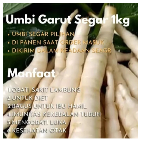 Umbi Garut / Umbi Garut Segar / irut / Tarigu / Umbi Garut 1kg
