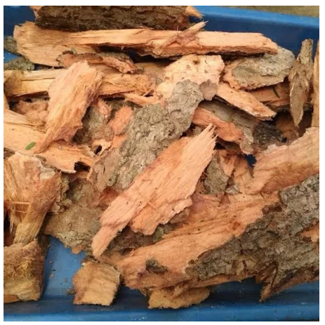 kulit kayu Jamblang/Duwet segar OBAT HERBAL DIABETES