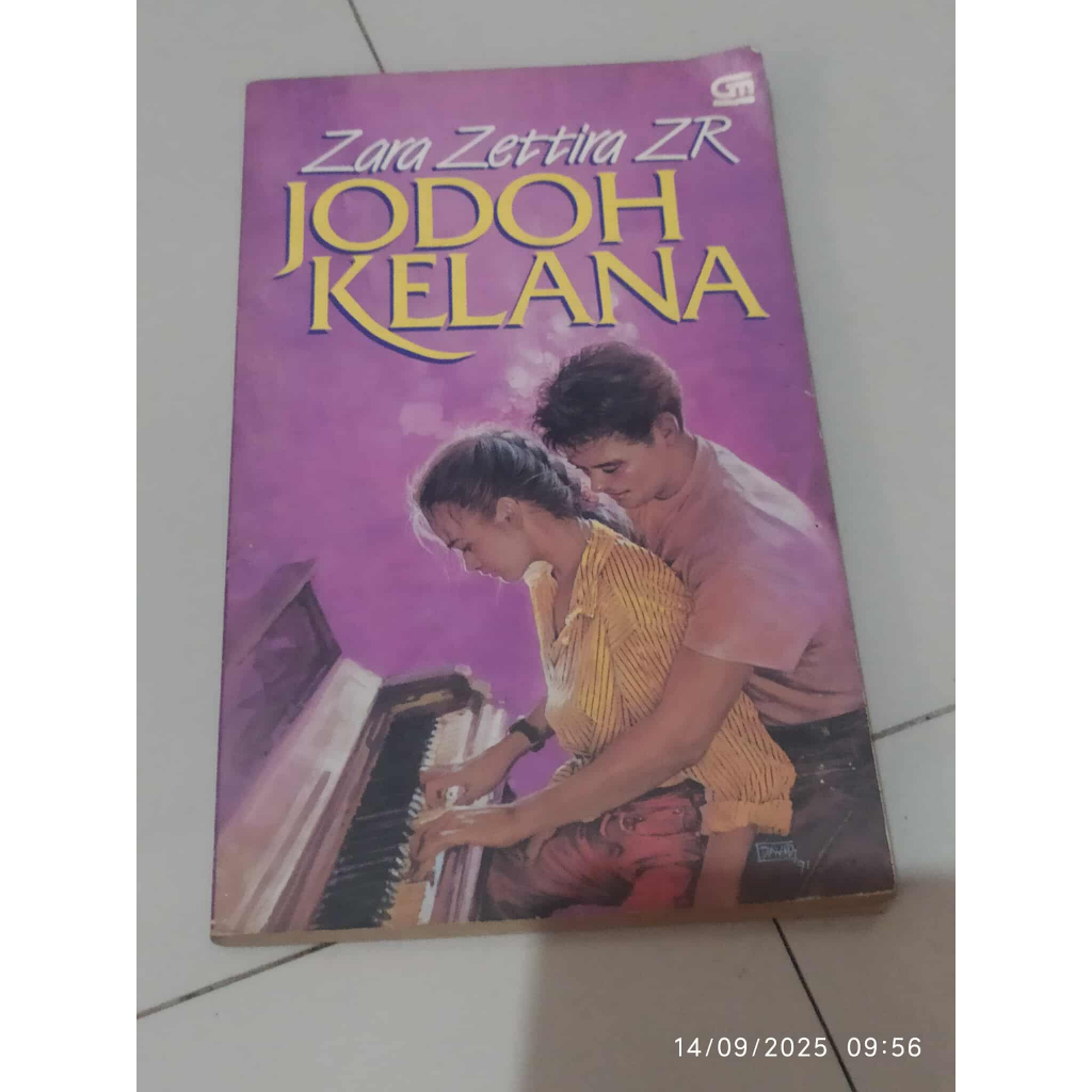 Novel Indonesia remaja karya Zara Zettira ZR