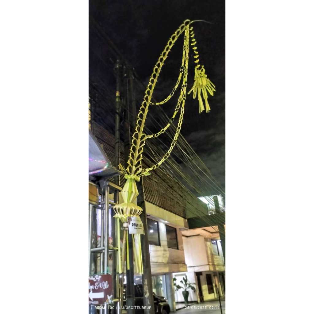 janur kuning,janur pernikahan bogor murah pengiriman instan