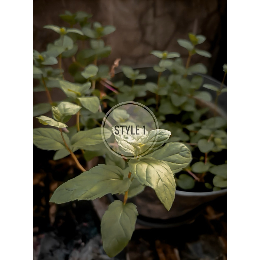 PRESET LIGHTROOM - Moody dark