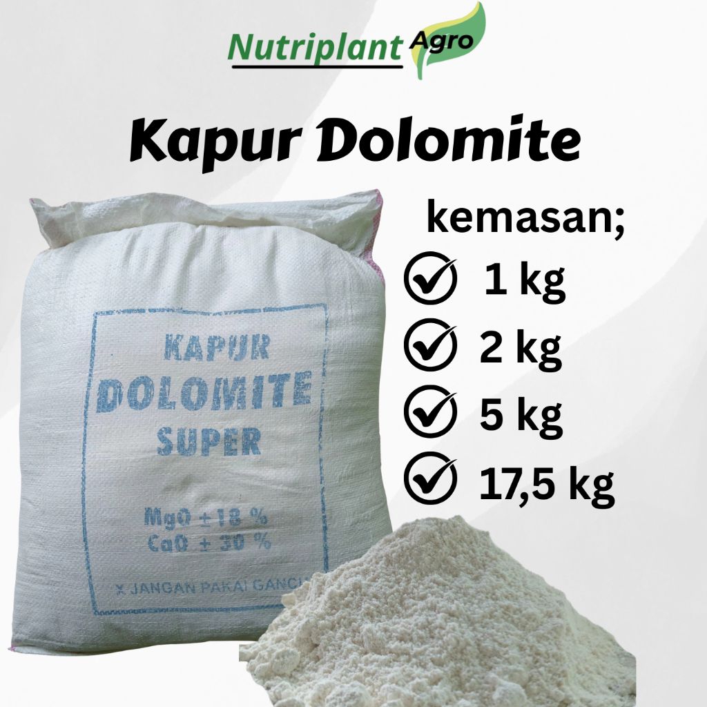 Kapur Dolomit