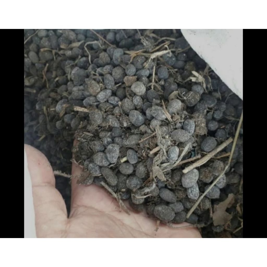 KOTORAN KELINCI FESES KELINCI PUPUK ORGANIK DARI HEWAN PUPUK KANDANG 1 kg PENYUBUR TANAMAN