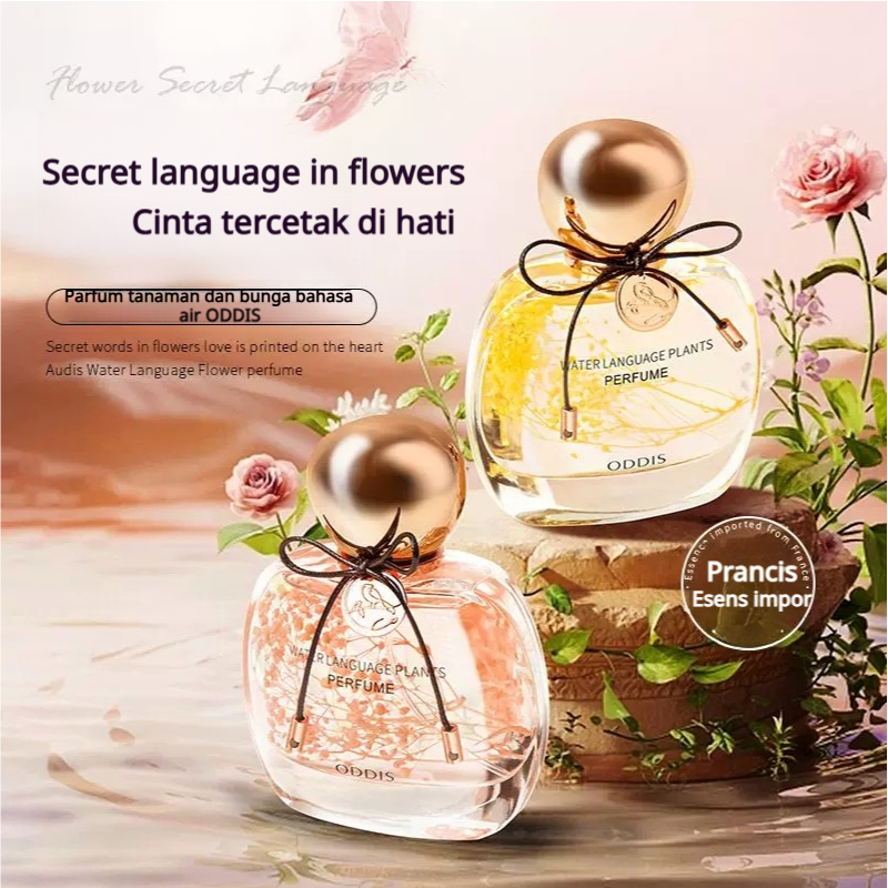 ODDIS Parfum Tahan Lama 24 Jam Wanita Best Seller