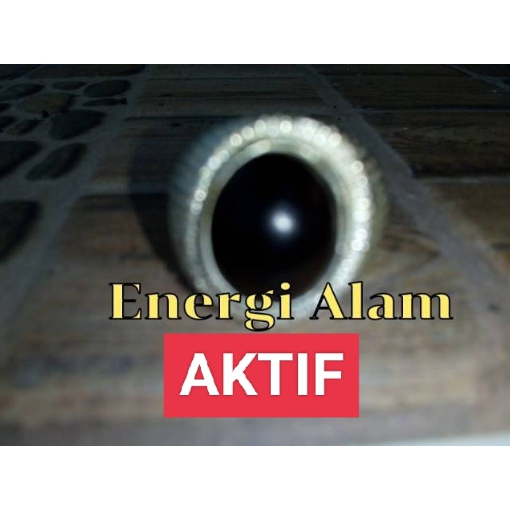 Cincin kayu stigi aktif