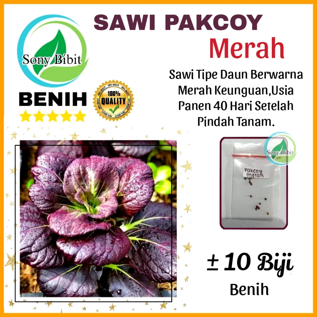 Benih Pakcoy Merah / Pakcoy Ungu Kemasan Ekonomis
