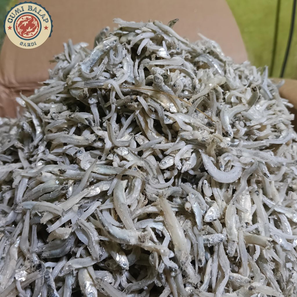 teri buntio/teri lampung