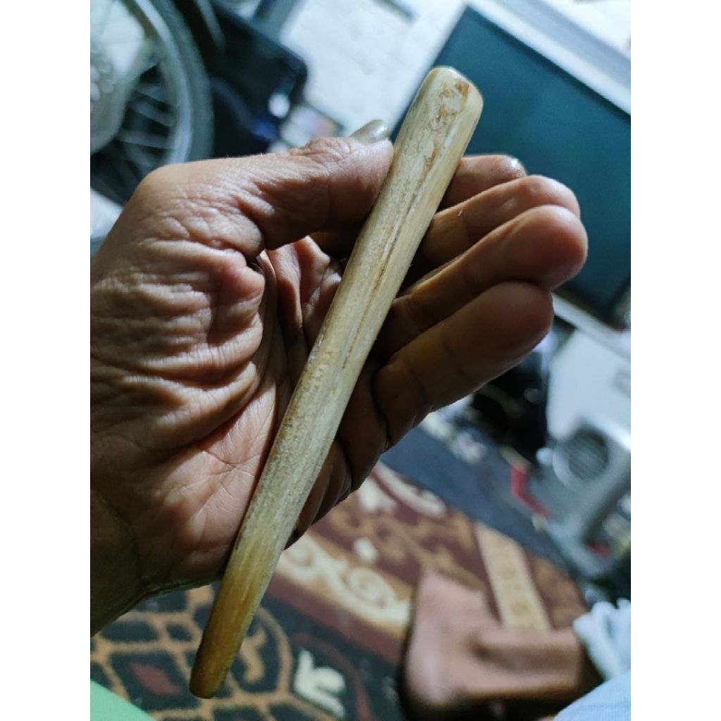 moncong ikan MARLIN ASLI