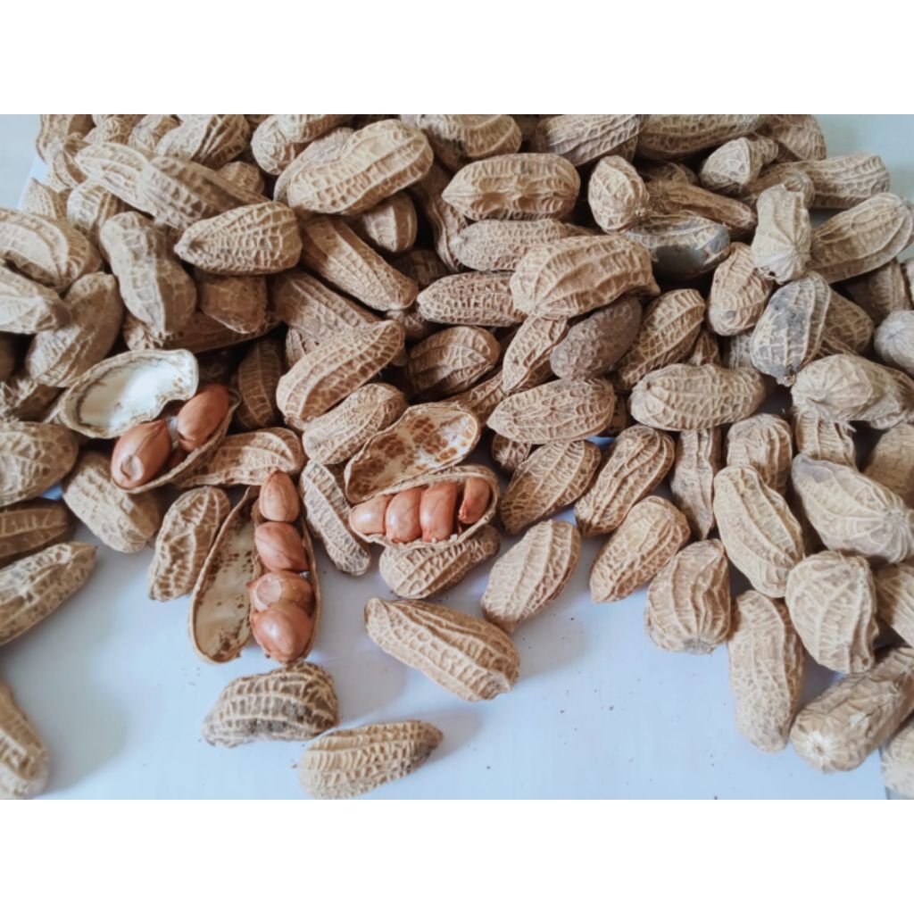 kacang tanah sangrai